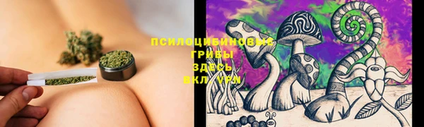 MDMA Premium VHQ Белокуриха