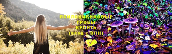 MDMA Premium VHQ Белокуриха