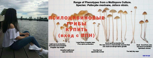 бутират Бронницы