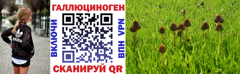 Галлюциногенные грибы Psilocybe  что такое наркотик  Волгореченск 